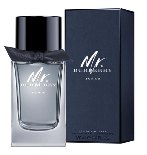 mr burberry cologne|mr burberry indigo fragrantica.